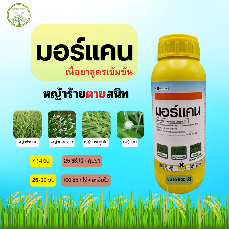 มอร์แคน 500ซีซี(โพรพานิล++) กำจัดหญ้าดื้อยาทุกชนิด หญ้าเดือยดื้อยา หญ้าข้าวนก หญ้าดอกขาว