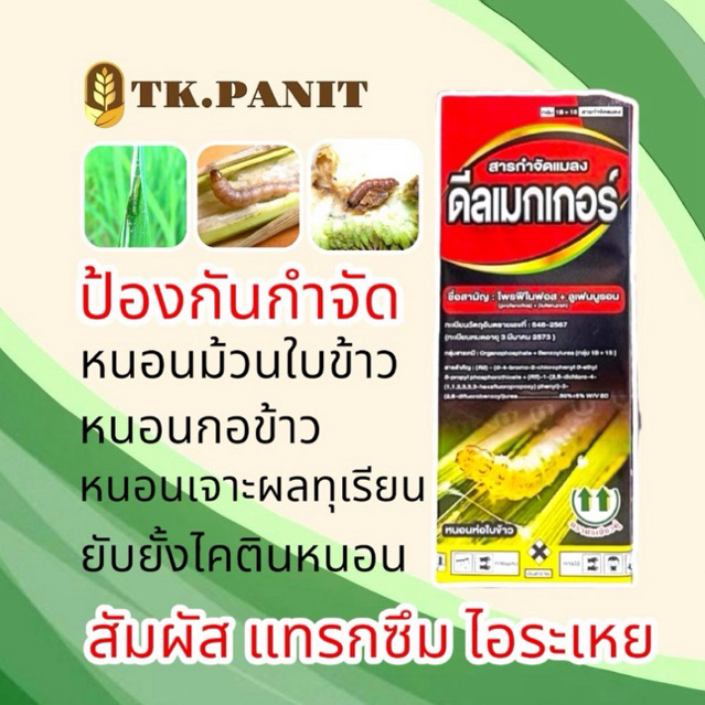 ดีลเมกเกอร์ หนอนกอ หนอนม้วนใบ