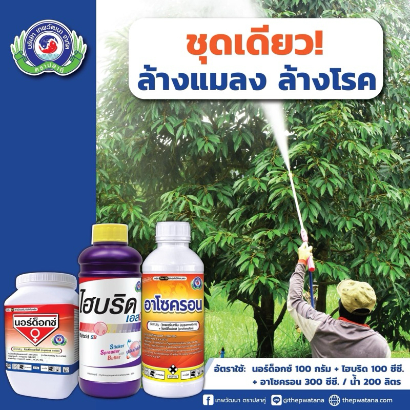 ไฮบริด 💦 ปรับสภาพน้ำเพิ่มประสิทธิภาพการแพร่กระจายและจับติดใบช่วยให้แมลงตายดีขึ้น✨️ช่วยในการผสมสารหลายชนิดให้เข้ากันได้ดี - รูปที่ 2