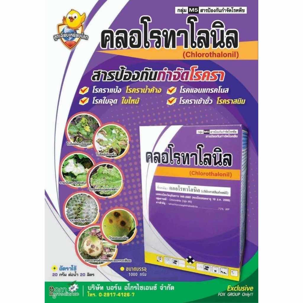 คลอโรทาโลนิล75% ขนาด 1 กิโลกรัม สารป้องกันโรคพืช เชื้อรา โรคใบจุด โรคราน้ำค้าง โรคราสนิม ราแป้ง สารเดียวกับ ดาโคนิล
