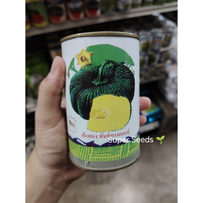 เมล็ดพันธุ์ฟักทอง คางคกแท้ สิงห์โต ขนาด 30 และ 250 กรัม