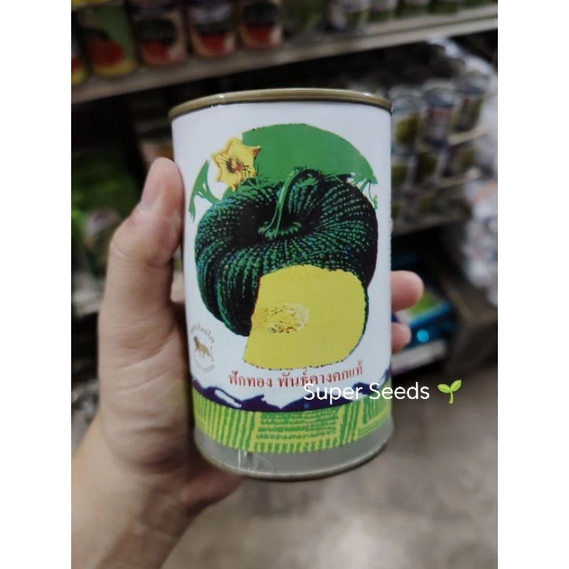 เมล็ดพันธุ์ฟักทอง คางคกแท้ สิงห์โต ขนาด 30 และ 250 กรัม