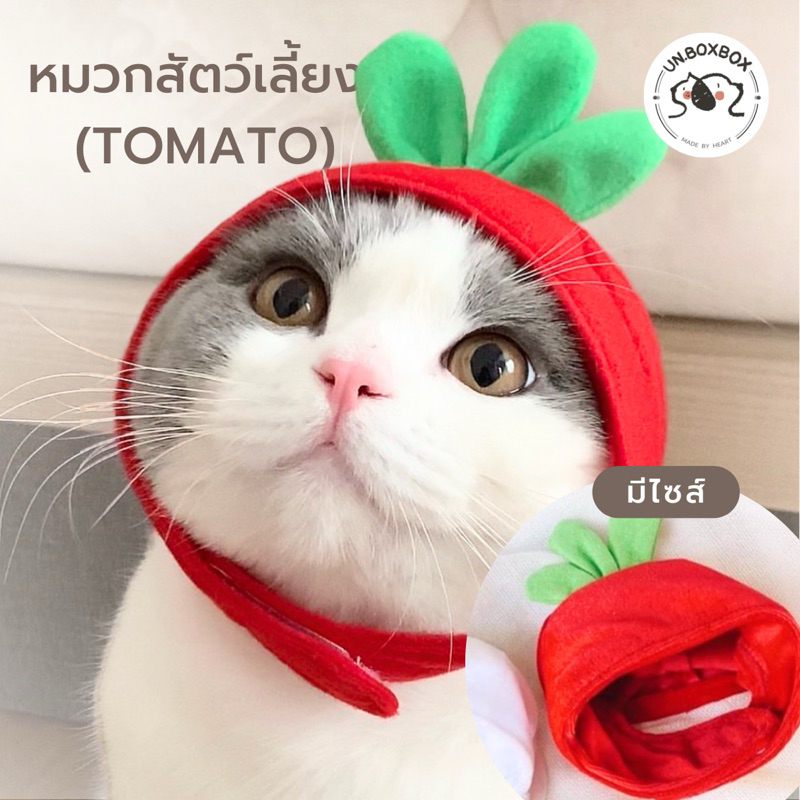 [unbox]หมวกสำหรับสัตว์เลี้ยง รุ่น มะเขือเทศ (Tomato) คู่กับที่คาดผมเจ้าของได้ 🍅ชุดแมว/หมา