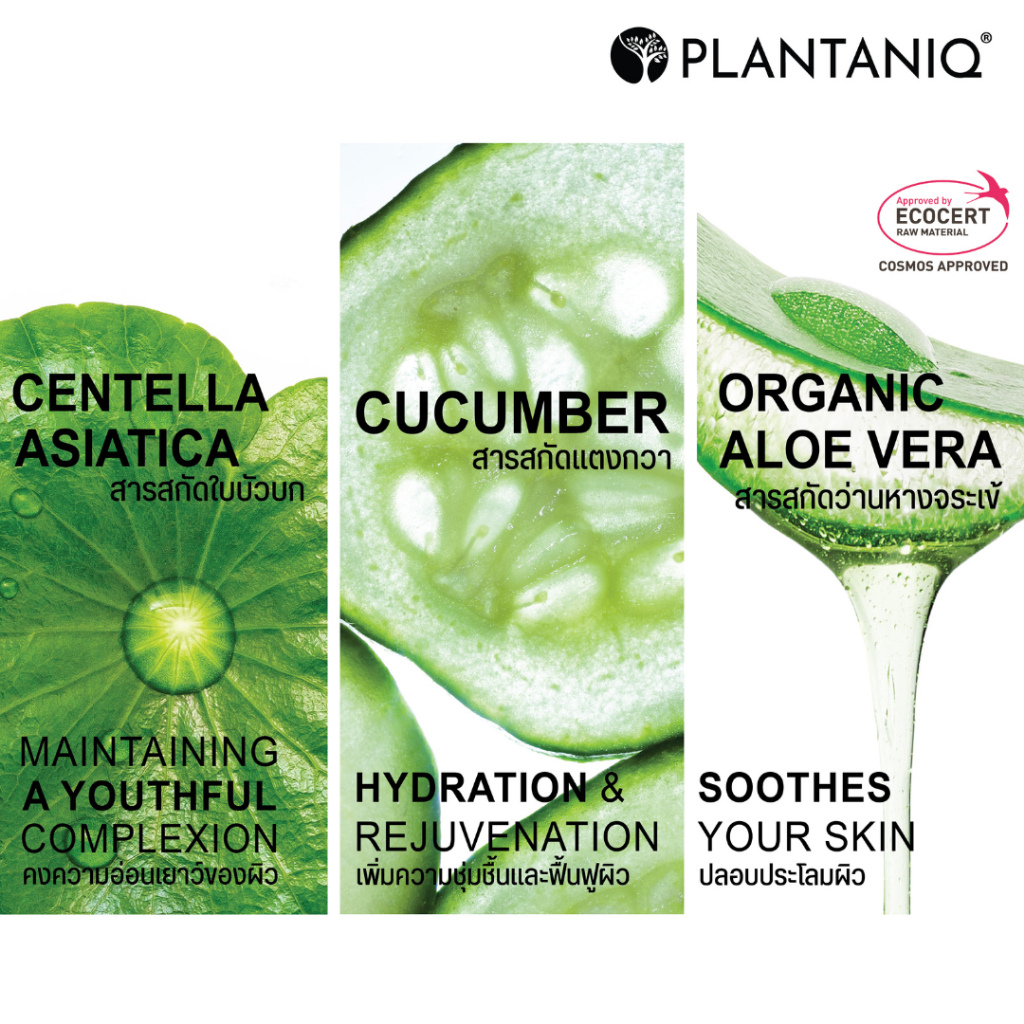 PLANTANIQ เจลอาบน้ำ สำหรับผู้แพ้ง่าย กลิ่นหอม สารสกัดจากธรรมชาติ มี 5 กลิ่น (ถุงรีฟิล 400 ml.)