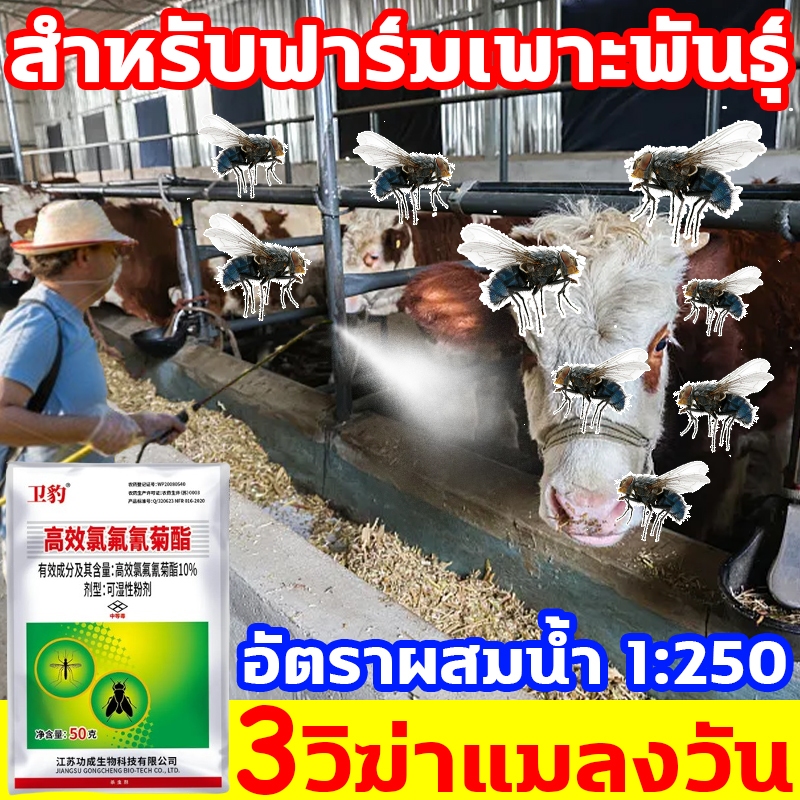 ฆ่าแมลงชนิดต่างๆได้รวดเร็ว ไล่แมลงวี่ ไม่เป็นอันตรายต่อคนและสัตว์ ฆ่าแมลงวัน 10ปีไม่มีแมลงวัน ไล่แมลงหวี่ กำจัดแมลงวัน