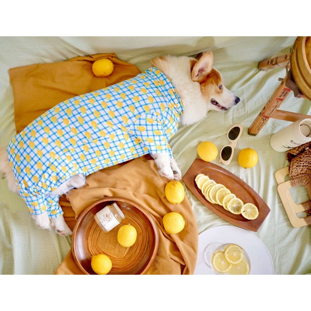 ชุดกันขนร่วง ลายตาราง-เลม่อน