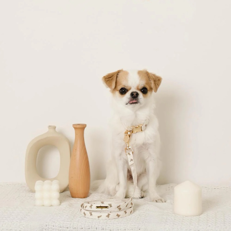 VELKYBARK [พร้อมส่ง] Moncheri🇯🇵 เซ็ต ปลอกคอสัตว์เลี้ยง พร้อมสายจูง - รูปที่ 4