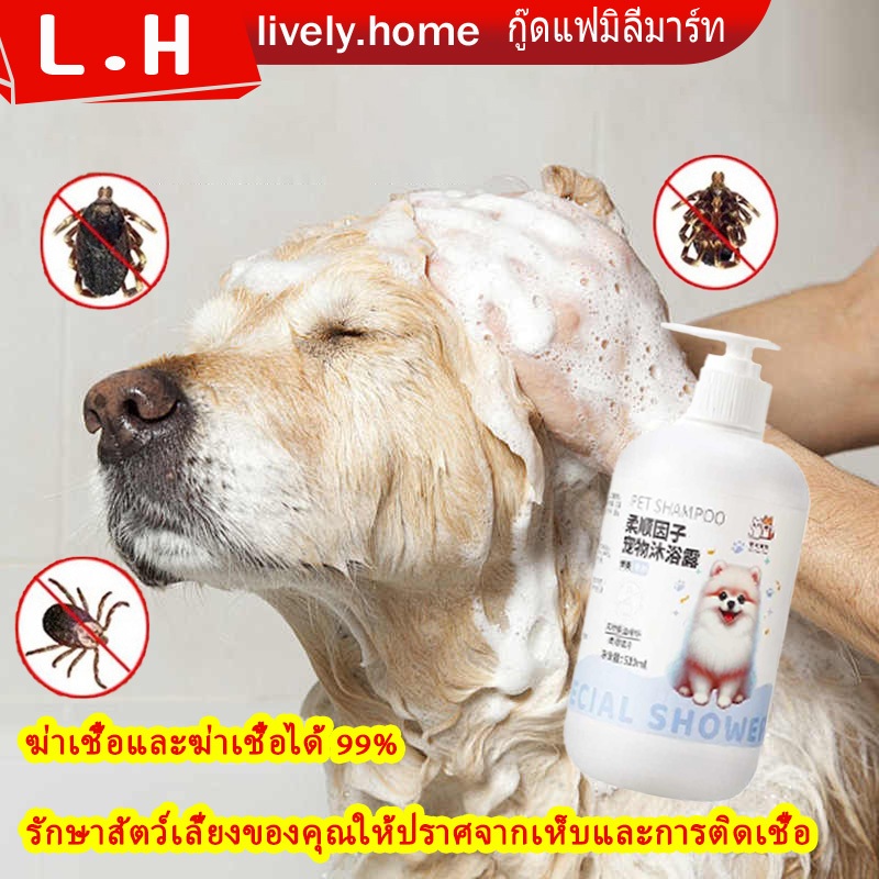 อาบน้ำเดี๋ยวนี้ เจลอาบน้ำสำหรับสัตว์เลี้ยง แชมพูสุนัข แชมพูแมว แชมพูอาบน้ำสุนัข แชมพูอาบน้ำแมว กำจัดแบคทีเรียและเห็บ