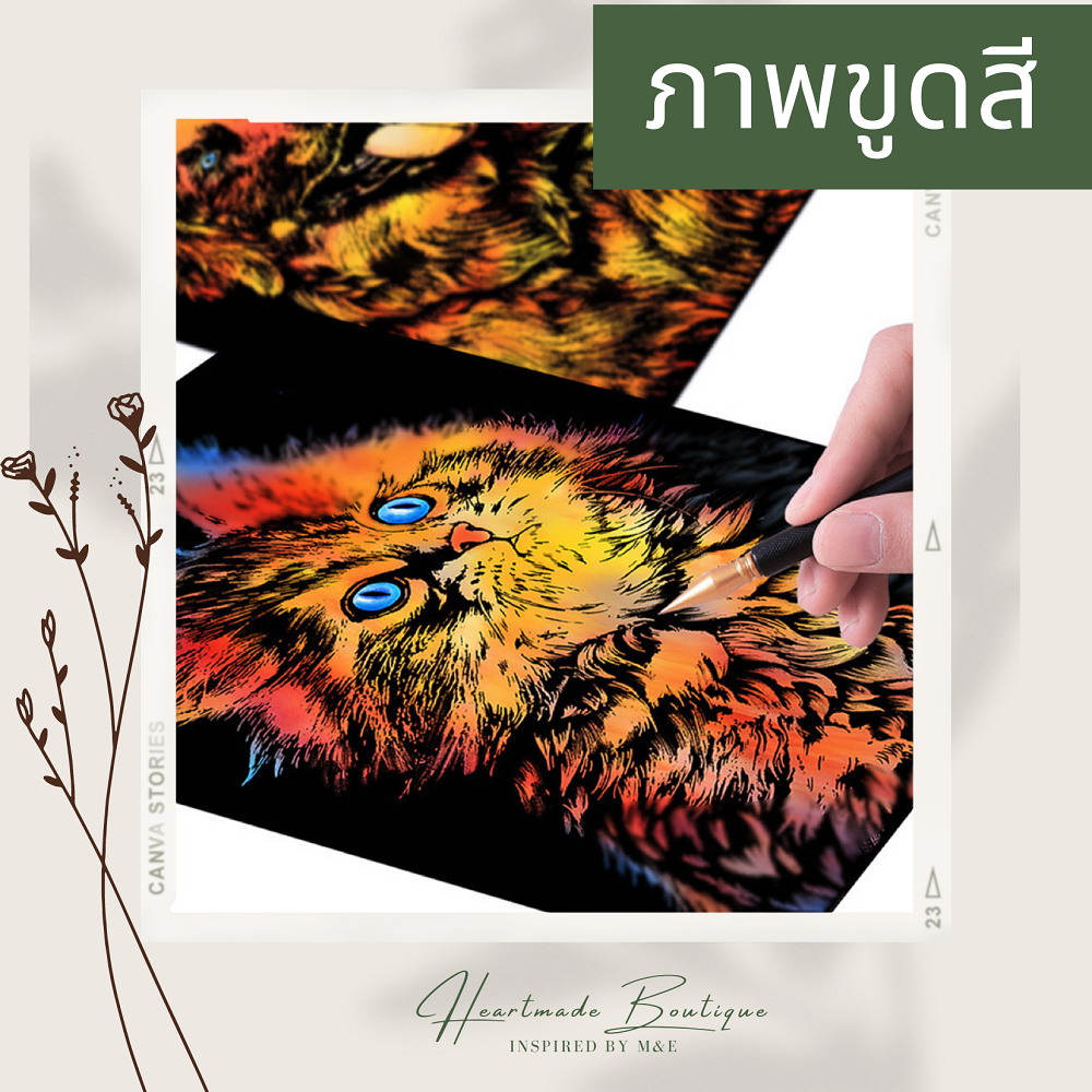 ภาพขูดสีลายสัตว์ ภาพขูดสีฝึกสมาธิ colorful animal scratching art book by color digging to find inner peace meditation