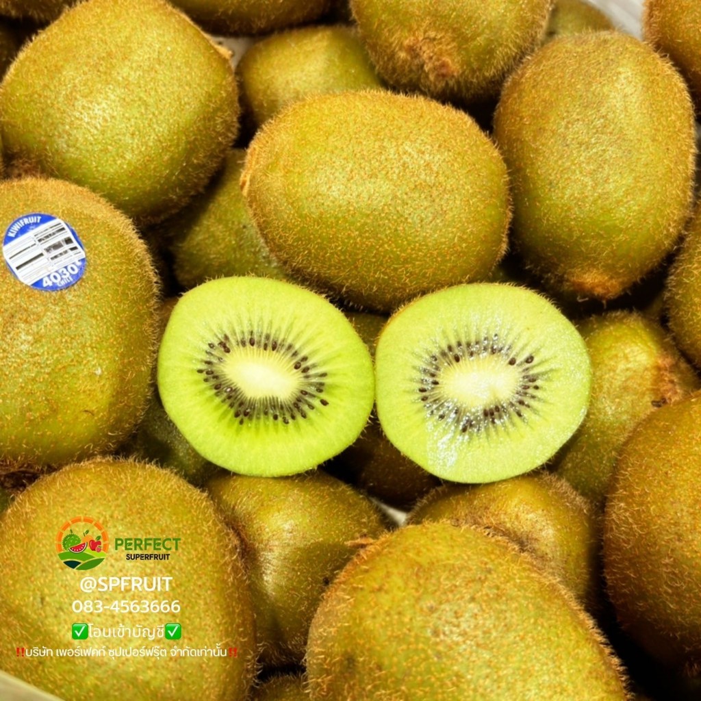 กีวี่เขียว (ครึ่งลัง/ยกลัง) อมเปรี้ยวอมหวาน เนื้อแน่น ส่งฟรีแช่เย็น