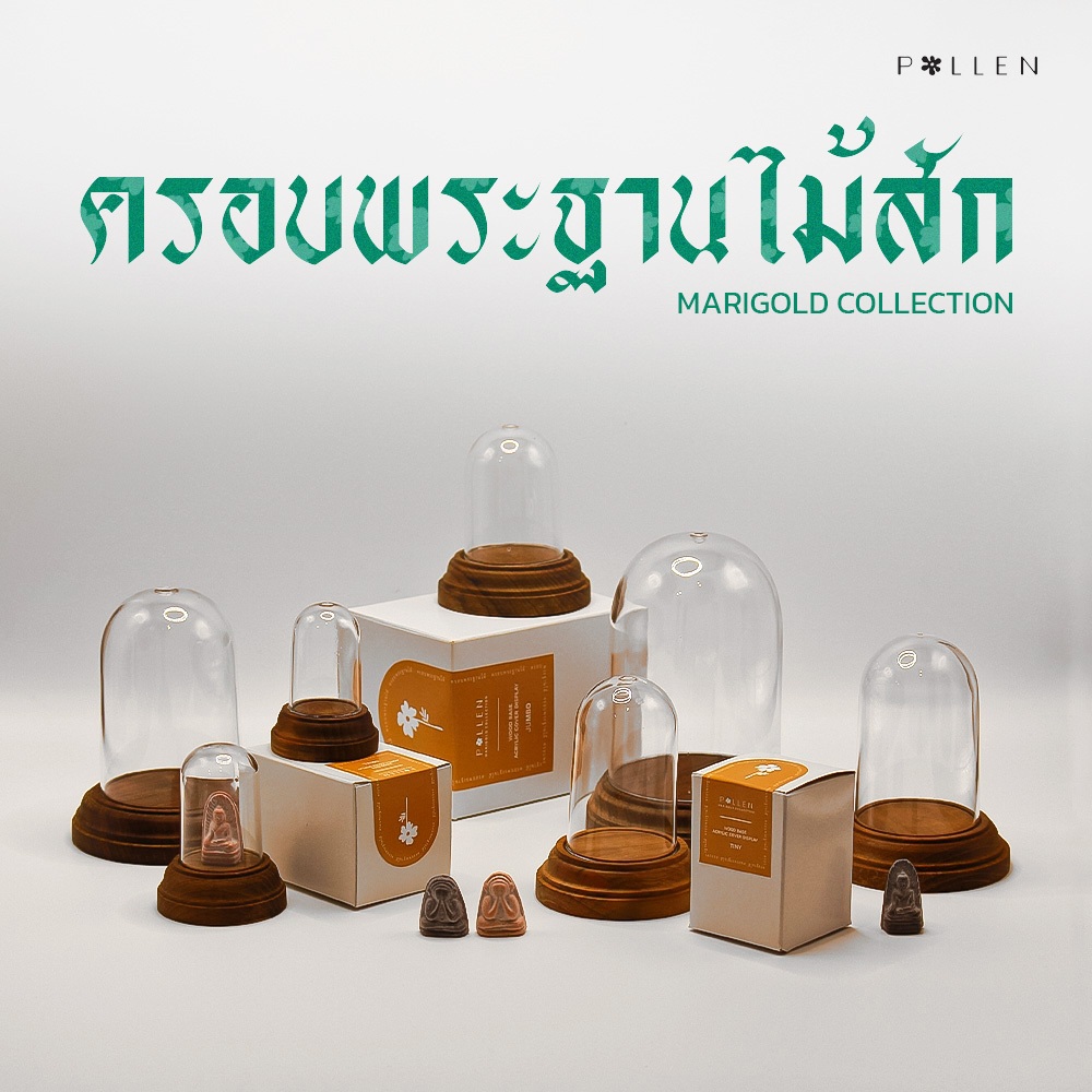 Pollen_collection ครอบพระฐานไม้  รุ่นฐานกลมไม้สัก ครอบอะคริลิคใส (Marigold collection)