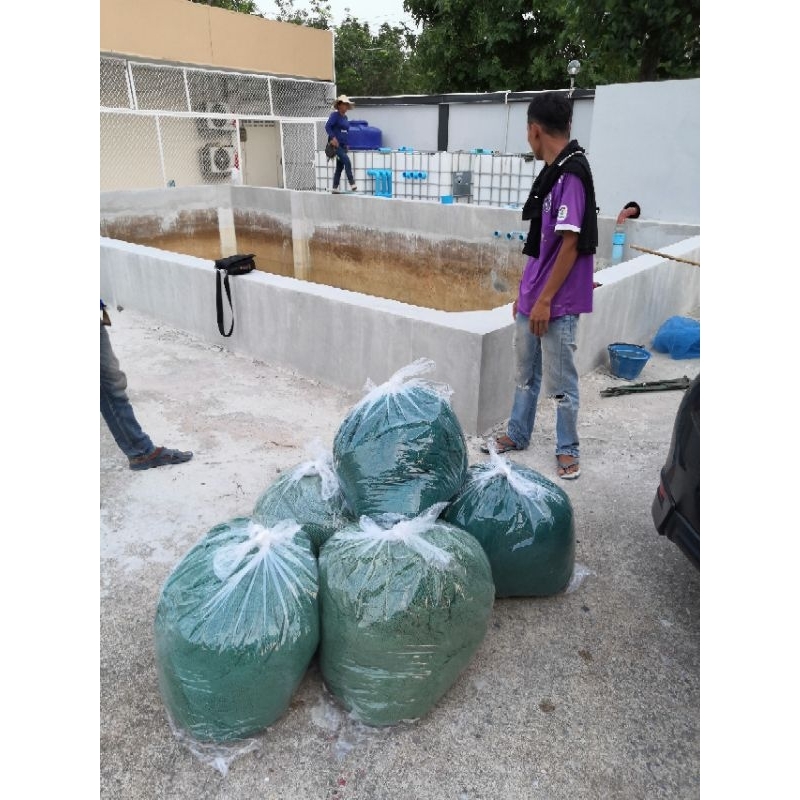 อวนเขียวมือสอง น้ำหนักประมาณ 10กก. แนะนํา​ใช้​งานในช่องกรองบ่อปลา ทำอวนบอล อวนเก่า ซักล้างได้ ใช้ได้อีกนานไม่ต้องเปลี่ยน - รูปที่ 6