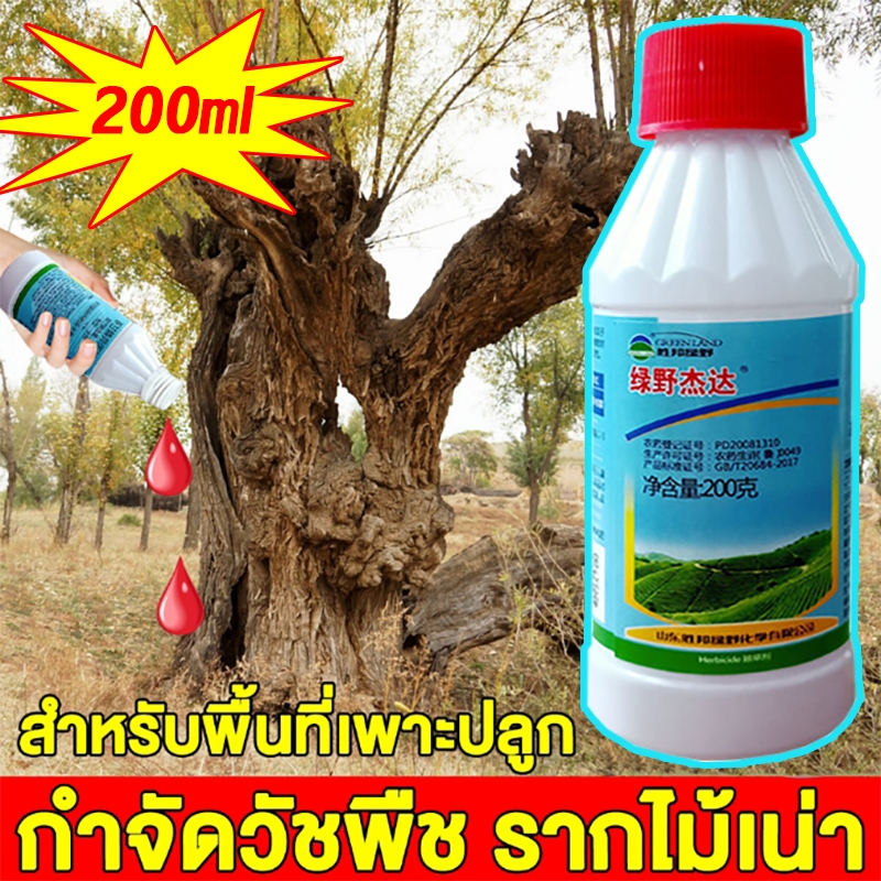 1หยดตายจากราก ยาฆ่าต้นไม้ใหญ่ ยากําจัดต้นไม้และไผ่ให้หมดจด ยาฆ่าตอไม้ 200ml สารกําจัดกอไผ่ ยาฆ่ากอไผ่ ยาฆ่าหญ้า