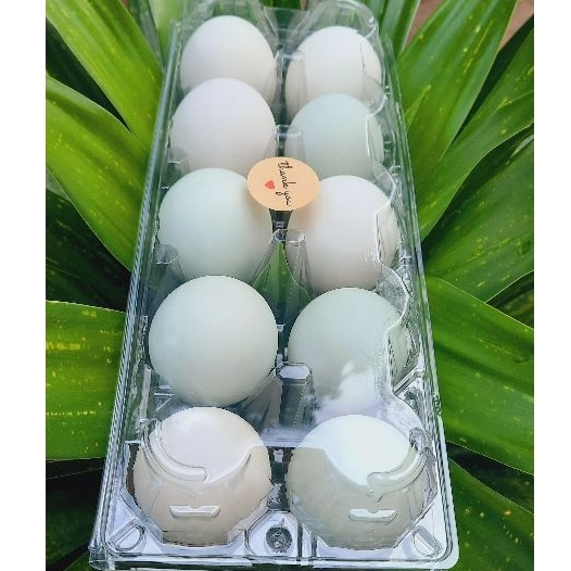 ไข่เค็มต้มพร้อมทาน ไข่เป็ดอารมณ์ดี เค็มน้อย ไข่ขาวนุ่ม ไข่แดงมัน สดใหม่ทุกวัน แพ็ค 10 ฟอง ราคา 99 บาท ไชร์ 65-70 กรัม
