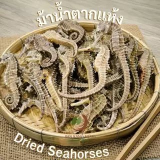 ม้าน้ำแห้ง dried seahorse 海马 สมุนไพรจีน สำหรับ ดอง ตุ๋น ต้ม บดผง อาหารทะเล ม้าน้ำตากแห้ง