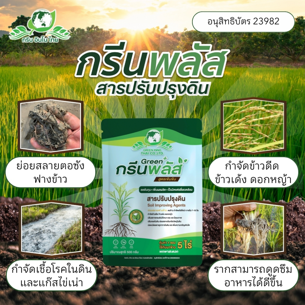 กรีนพลัส ย่อยตอซังฟางข้าว ลดข้าวดีด ลดการใส่ปุ๋ย