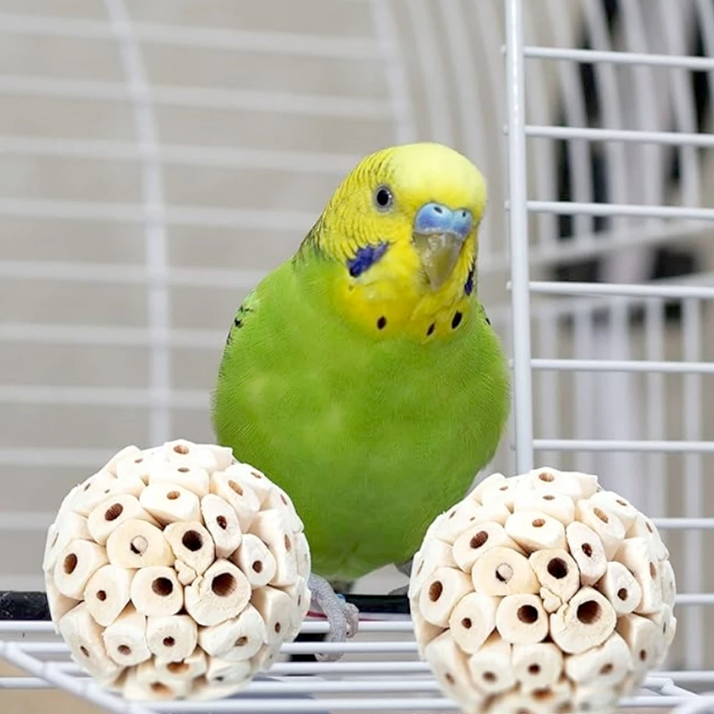 Pawblic ของเล่นนกแก้ว ตกแต่งกรง หัดกัดแทะ ชุดของเล่นนก thumbnail 10