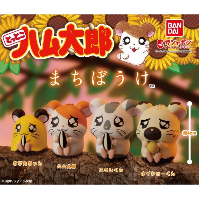 พร้อมส่ง ***⛄️Hamtaro Still Waiting For You