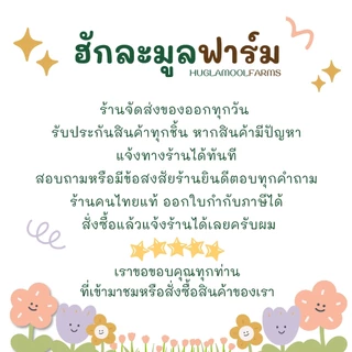ควินัว 3สี ออร์แกนิคแท้ 500กรัม ตราฮักละมูลฟาร์ม ใหม่ หอม นุ่ม Organic Tricolor Quinoa