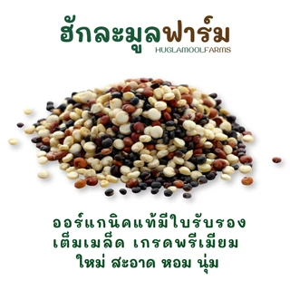 ควินัว 3สี ออร์แกนิคแท้ 500กรัม ตราฮักละมูลฟาร์ม ใหม่ หอม นุ่ม Organic Tricolor Quinoa