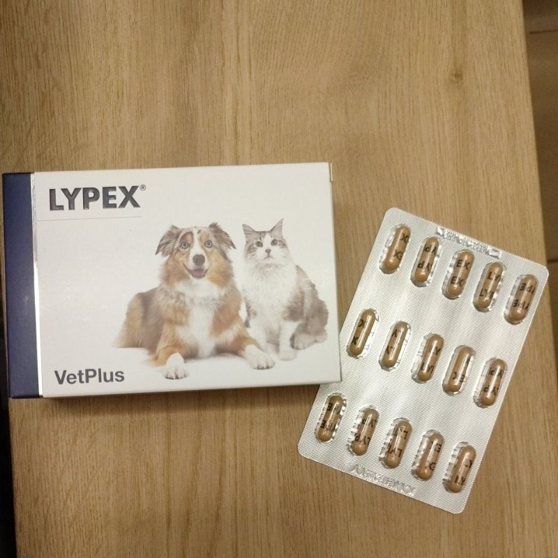 [TJ] Lypex 15 capsules ไลเปก 15 แคปซูล เอนไซม์อาหารเสริมตับอ่อนอักเสบ