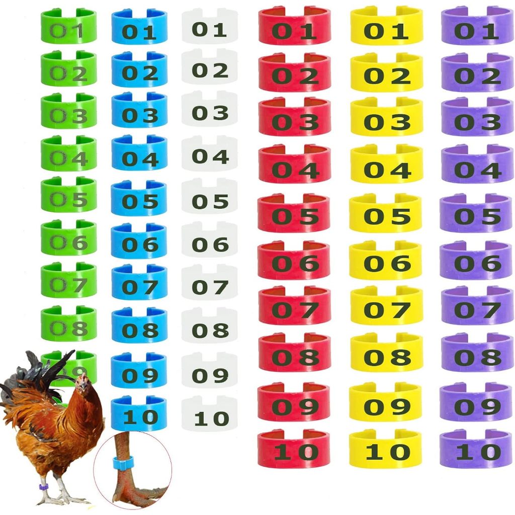 ไก่ ห่วงขาไก่ เเหวนพลาสติกไส่ขาไก่ ห่วงล้อมขาไก่ ห่วงรัดขาไก่ หลายสี ปรับขนาดได้