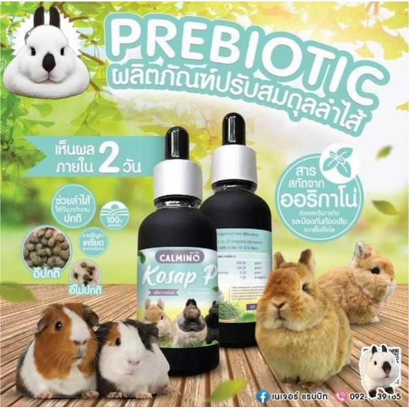 Calmino Kosap (Prebiotic) ผลิตภัณฑ์ดูแลระบบย่อยอาหารของสัตว์ฟันแทะ แถมฟรีไซริง