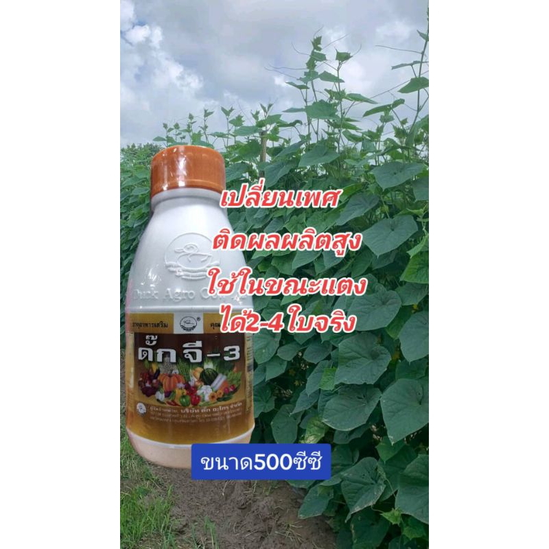 ดั๊กจี-3(สูตรแปลง เพศ)ทำให้ดอกสมบูรณ์เพศ ติดดอกง่าย ออกดอกเยอะ