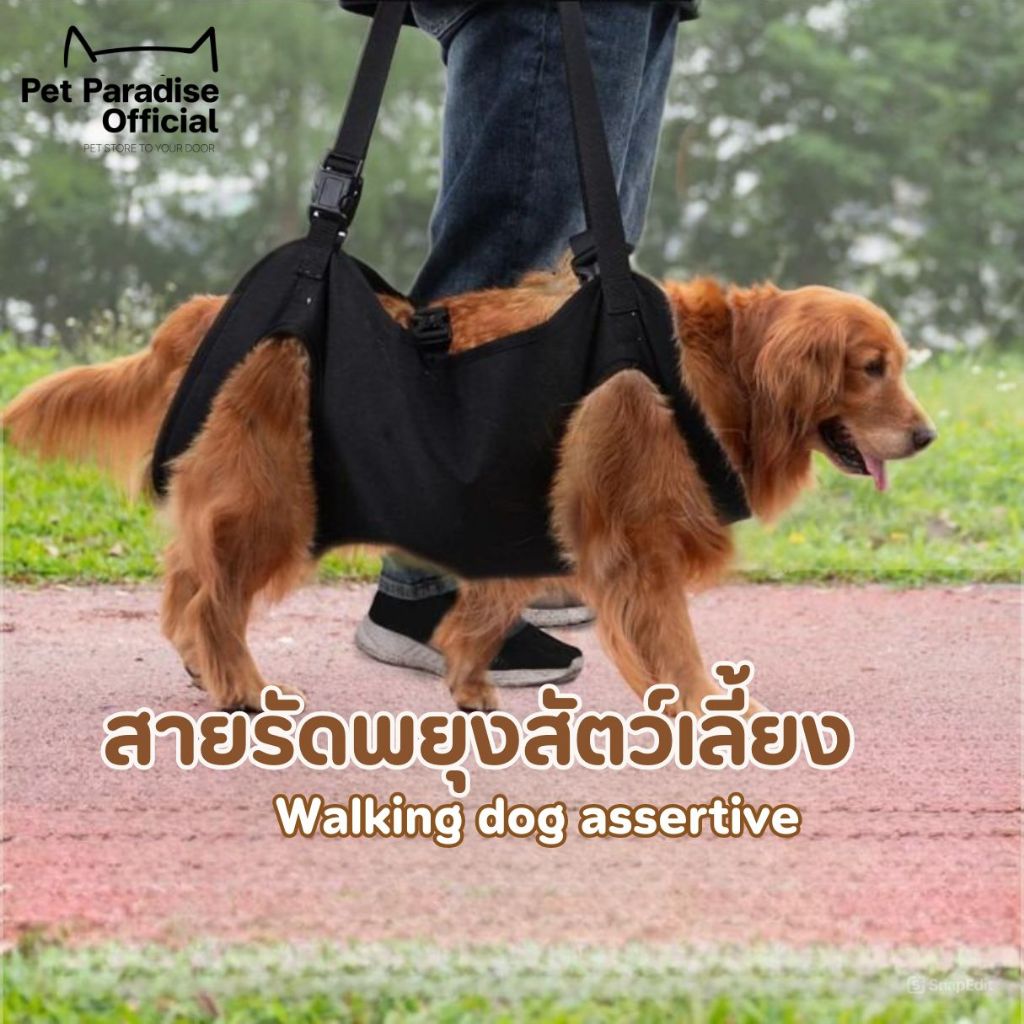 [PetParadise.th] สายพยุงเดิน Doglemi แบบช่วยยกทั้งตัว สำหรับสัตว์เลี้ยง รุ่น Walking dog assertive (WA)