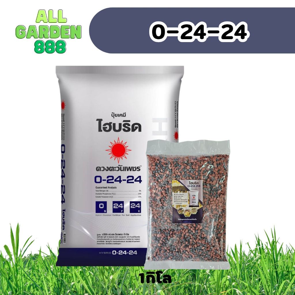 0-24-24 ปุ๋ยไฮบริด กดใบ สั่งดอก ลดการแตกใบออน กระตุ้นการเปิดตาดอกเเละติดผล คั้วเหนียวลดการหลุดร่วง ตวง1กิโล