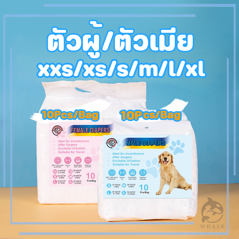 แพมเพิสหมาโอบิสุนัขตัวผู้ผ้าอ้อมสุนัขผ้าอ้อมสุนัขชายและหญิง แก้ปัญหาขี้สุนัขและประจำเดือน