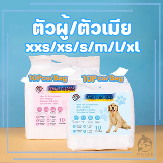 แพมเพิสหมาโอบิสุนัขตัวผู้ผ้าอ้อมสุนัขผ้าอ้อมสุนัขชายและหญิง แก้ปัญหาขี้สุนัขและประจำเดือน