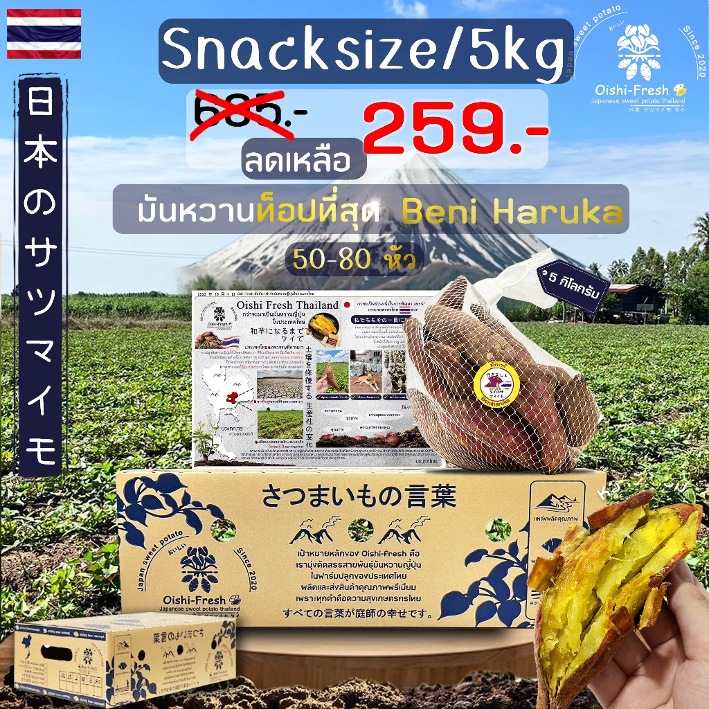 ถูกที่สุด ยกลัง 5 กิโลกรัม Snack มันหวานญี่ปุ่นสายพันธุ์ Beni haruka ปลูกไทย เนื้อเหลือง หวาน อร่อย .สินค้าเคลมได