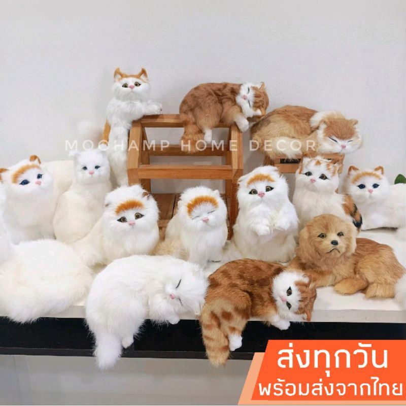 ส่งเร็วจากไทย ตุ๊กตาแมว ตุ๊กตาหมา แมวเกาะขอบโต๊ะ ตุ๊กตาประดับเหมือนจริง ตกแต่งบ้าน ตกแต่งร้าน ตกแต่งคาเฟ่ แต่งบ้านทาสแมว