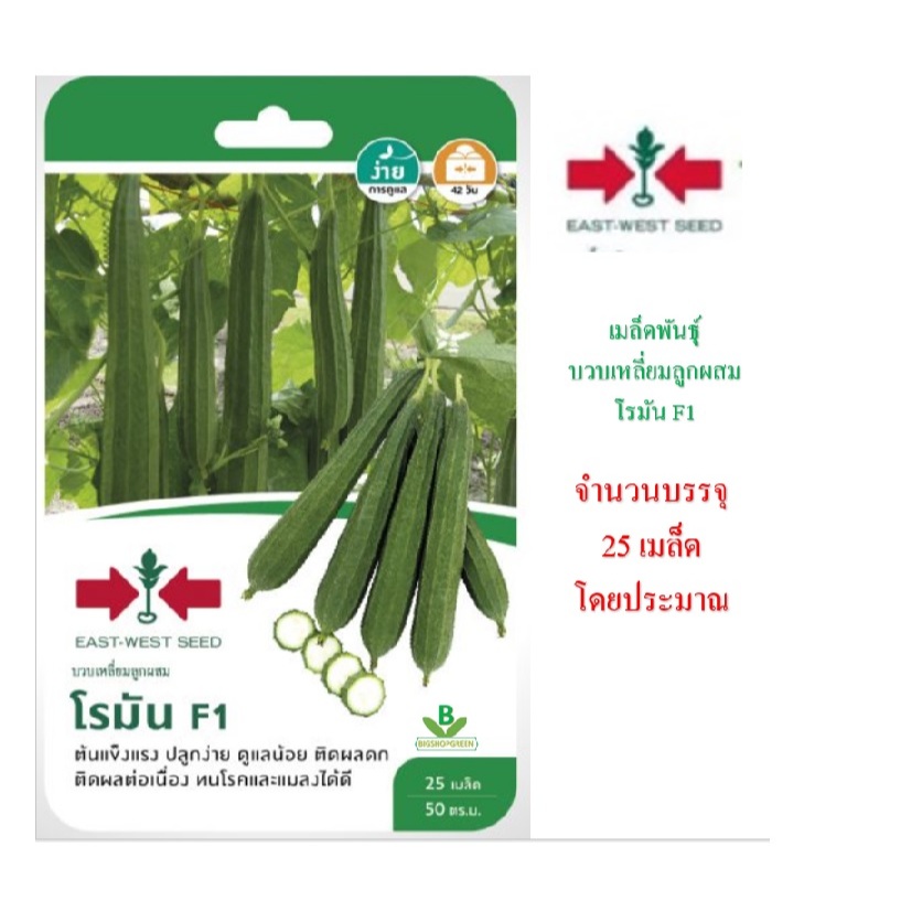 5 ฟรี 1 คละได้ เมล็ดพันธุ์ชุด บวบเหลี่ยมลูกผสม ตราศรแดง อัตราความงอกสูง
