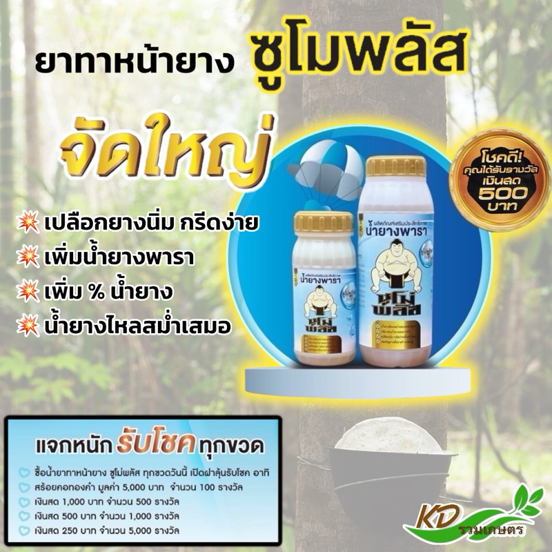 ยาทาหน้ายาง ซูโม่พลัส (สูตรหน้ายางนิ่ม) เพิ่มน้ำยางพารา ต้นไม่โทรม เพิ่ม % ไหลสม่ำเสมอ หน้าไม่ดำ