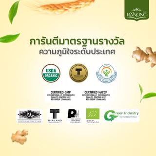 เรนอง ขิงผงสำเร็จรูปไม่มีน้ำตาล ขิงผง [สุดคุ้ม 50 ซอง] (GPB)