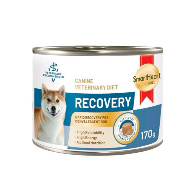 smartheart gold recovery อาหารเปียกสำหรับน้องหมาป่วย