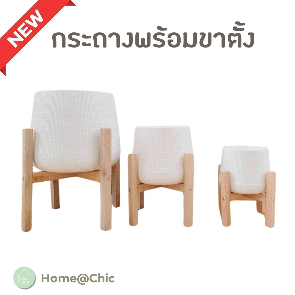 กระถางเบลล่า พร้อมขาตั้งไม้สยา เซตกระถางพร้อมขาตั้ง มินิมอล สีขาว ขนาด 5 7 9 นิ้ว ราคาถูก