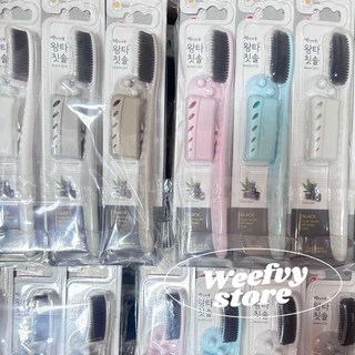 [พร้อมส่ง/ส่งไว] ♡ Wangta Toothbrush แปรงสีฟันเกาหลี จองกุกแนะนำ ♡