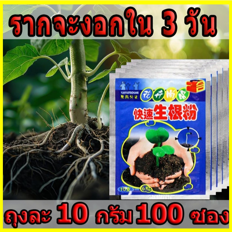 【พร้อมส่งจากไทย】ปุ๋ยผงอินทรีย์ชีวภาพ ขนาด 10 กรัม เร่งการเจริญเติมโตของรากพืช