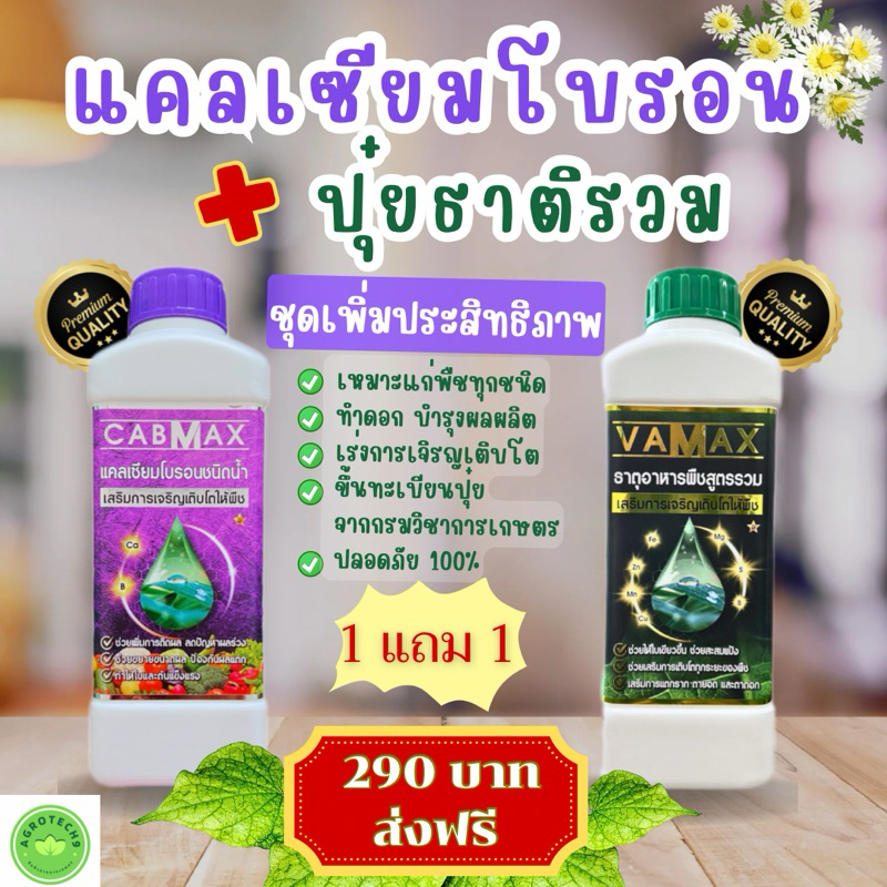 ชุด 1 แถม 1 (ปุ๋ยธาตุรวม VAMAX+CABMAXแคลเซียมโบรอน) ปลอดภัยขึ้นทะเบียนจากกรมวิชาการเกษตรอย่างถูกต้อง