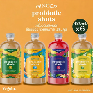 VEGAIN GINGER : PROBIOTIC SHOT เครื่องดื่มขิงหมักโพรไบโอติกช็อท x 6 ขวด (480ML./ขวด)