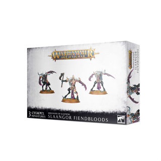 [GWพร้อมส่ง] Warhammer Age Of Siamar: HEDONITES: SLAANGOR FIENDBLOODS เกมสนามจำลอง