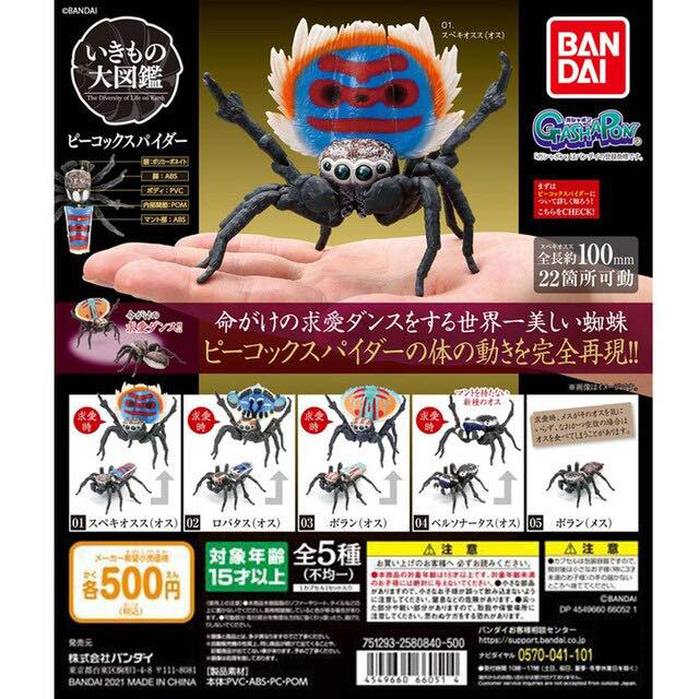 [Gashapon ] Bandai Dango Mushi Peacock Spider Action V.01 (ครบชุด 5 ตัว)