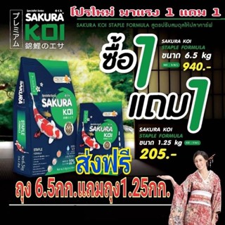 💥 ส่งฟรี..อาหารปลาซากุระโค่ยสูตร Staple ซื้อถุง​ 6.5 kg.แถม​​ 1​.25kg. และ 1kg.( SAKURA KOI STAPLE FORMULA