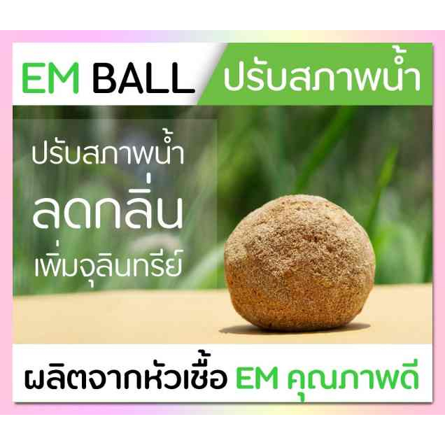 em ball  บำบัดนํ้าเน่าเสีย สุดคุ้ม ชุดละ25 ลูก