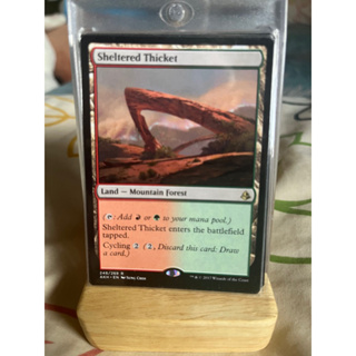 การ์ด MTG Sheltered Thicket Land Magic the Gathering EDH รุ่น AKH สภาพ Nm