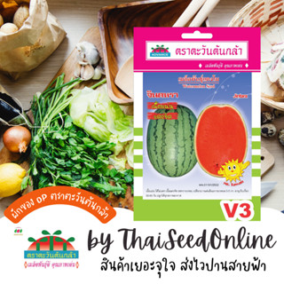 ADV ซฟ เมล็ดพันธุ์ แตงโมจินตรา ตราตะวันต้นกล้า V3