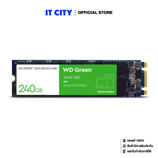 Western Digital SSD 240GB M.2 SATA 2280 GREEN SSD MS6-000023 Internal Solid State Drive